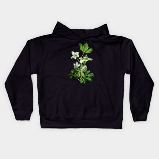 Helleborus niger Kids Hoodie